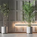 Indoor Potted Plants In White Pots With Gray Paneled Wall And Lighting