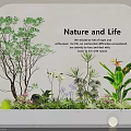 Indoor Landscape With Various Green Plants Flowers And Tree Against Curved White Wall
