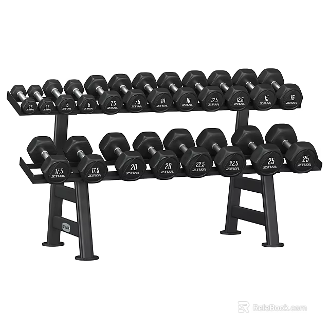 Sports Equipment Double Tier Dumbbell Rack With Multiple Weight Dumbbells For Fitness Training 3d model 