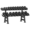 Sports Equipment Double Tier Dumbbell Rack With Multiple Weight Dumbbells For Fitness Training