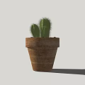 Green Cactus Potted Plant in Rustic Terracotta Pot for Indoor Decor