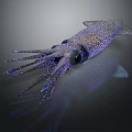 Squid With Shiny Spots And Long Tentacles On Dark Background With Reflection 3d model