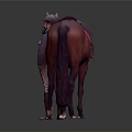 Man Leading Brown Horse With Red Saddle Wearing Blue Jacket And Brown Pants