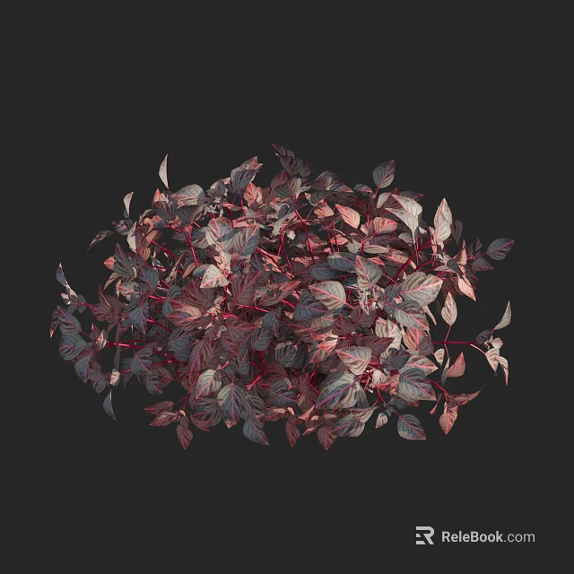 Vibrant Red and Purple Leafy Plants with Lush Foliage in Black 3d model 