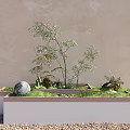 Rectangular Garden Feature With Ferns Stone Moss And Pebbles Against Light Beige Wall 3d model