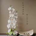 Elegant White Orchids In Vase With Green Leaves Decorative Bowl And Metal Balls