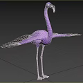 Pink Flying Lizard Reptile With Spread Wings Standing On Green Grassland