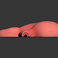 Detailed 3D Model of Human Stomach Showing Anatomical Structure And Internal Texture