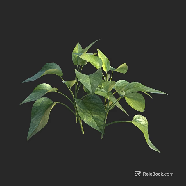 Healthy Green Plant With Lush Fresh Leaves Growing On Black Background 3d model 