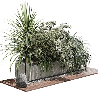 Outdoor plant bonsai 3d model