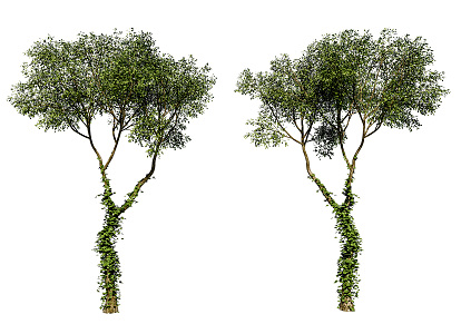 The Modern Tree 3d model