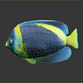 Colorful Blue Yellow Tropical Fish With Vibrant Scales And Dark Background Reflection