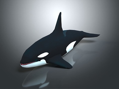 killer whale cartoon whale mammal marine mammal marine animal fish freshwater fish model