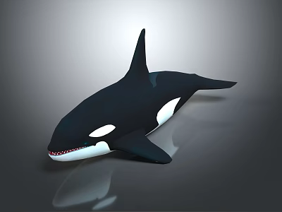 Black And White Orca Whale In Swimming Pose With Distinct Dorsal Fin Against Gray Background 3d model