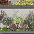Garden Plant Combination With Red Maple Bamboo Pink Flowers Green Shrubs Stones And White Wall