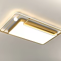 Modern Minimalist Ceiling Lights With Gold Frame LED Lighting And Different Shapes 3d model
