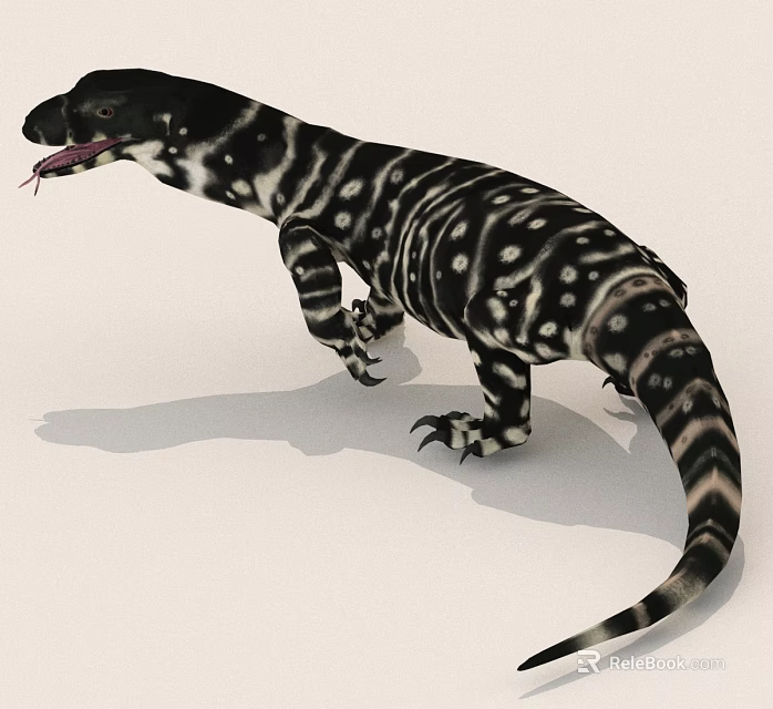 Black And White Spotted Monitor Lizard Standing On Ground With Long Tail And Shadow 3d model 