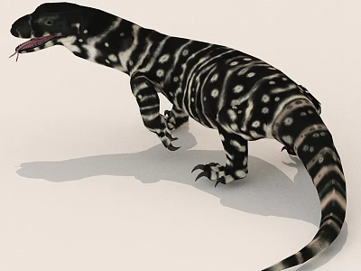 Black And White Spotted Monitor Lizard Standing On Ground With Long Tail And Shadow 3d model