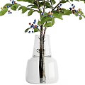 Decorative Vase With Natural Branches Green Leaves And Blue Berries For Home Decor