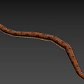 Brown Patterned Snake With Slithering Curved Body Against Dark Background