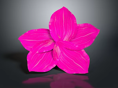 Vibrant Pink Flower with White Striped Petals on Dark Background Showing Soft Reflection 3d model