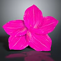 Vibrant Pink Flower with White Striped Petals on Dark Background Showing Soft Reflection