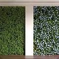 Green Plant Background Wall With White Flowers For Interior Decoration