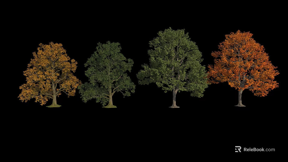 Four Trees With Different Colored Leaves Arranged On Black Background 3d model 