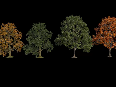 Four Trees With Different Colored Leaves Arranged On Black Background 3d model