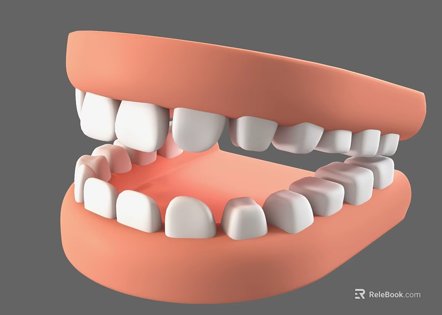 Dental Medical Device Featuring 3D Anatomical Teeth Model Structure For Dentistry 3d model 