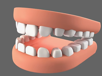 Dental Medical Device Featuring 3D Anatomical Teeth Model Structure For Dentistry 3d model
