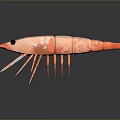3D Orange Shrimp Model With Black Eyes Long Antennae Multiple Legs Gray Background Showing Reflection