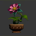 Pink Flowering Plant with Green Leaves and Pink Petals in Brown Decorative Pot