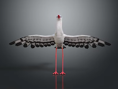White Bird With Red Beak And Long Legs Spread Wings On Gray Background With Reflection 3d model