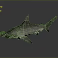 Detailed Hammerhead Shark 3D Model On Grey Background With Reflection
