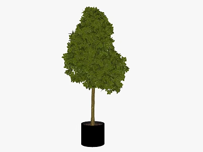 Modern Potted Plant Decorative Plant Potted Plant 3d model