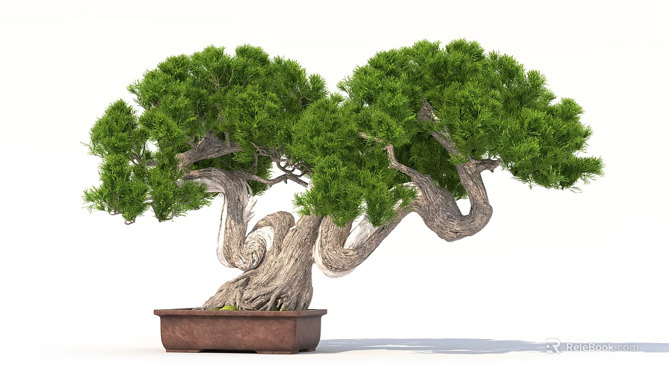 Bonsai Plant With Lush Green Foliage And Twisted Trunk In Brown Ceramic Pot 3d model 