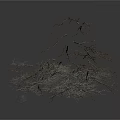 Snow Covered Plant Branches on White Background in Winter Nature Scene