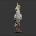 Detailed White Cockatoo With Yellow Crest Standing On Tree Stump Statue