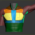Medical Device 3D Anatomical Model of Human Torso with Color Coded Regions and Arm Structure