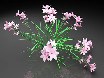 Blooming Pink Flowers With Green Grass Leaves Fresh Arrangement On Dark Background 3d model