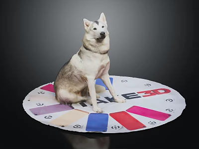 Gray And White Dog Sitting On Round Mat With Colorful Sections And Game Text 3d model