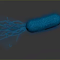 Blue Bacterium Organ Structure With Hair Like Appendages 3D Rendering View 3d model