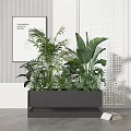Bonsai Potted Plants with Various Green Foliage in Modern Gray Planter for Indoor