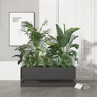 Bonsai Potted Plants with Various Green Foliage in Modern Gray Planter for Indoor 3d model