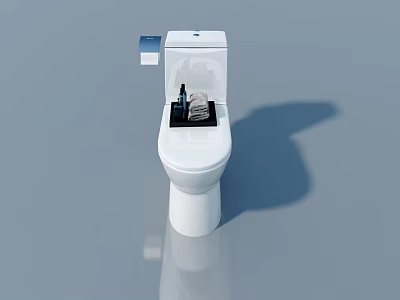 Modern White Toilet With Flat Door Seat And Wall Mounted Tissue Holder 3d model