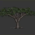 Lush Green Tree With Thick Trunk And Extended Roots In Gray Backdrop 3d model
