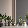Diverse Indoor Potted Plants With Various Types And Different Material Pots On Gray Background 3d model
