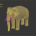 Detailed Brown Elephant Model with White Tusks Standing on Dark Background