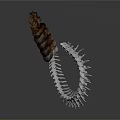Organ And Hair Spiral Structure With Brown Hair Like Fibers And Silver Skeletal Elements